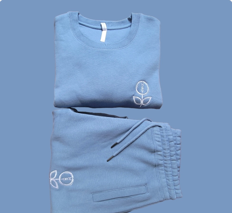 Mispent Youth Logo Sweatsuit